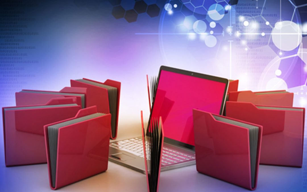 Records Management in the Age of Digital Government: Challenges and Solutions